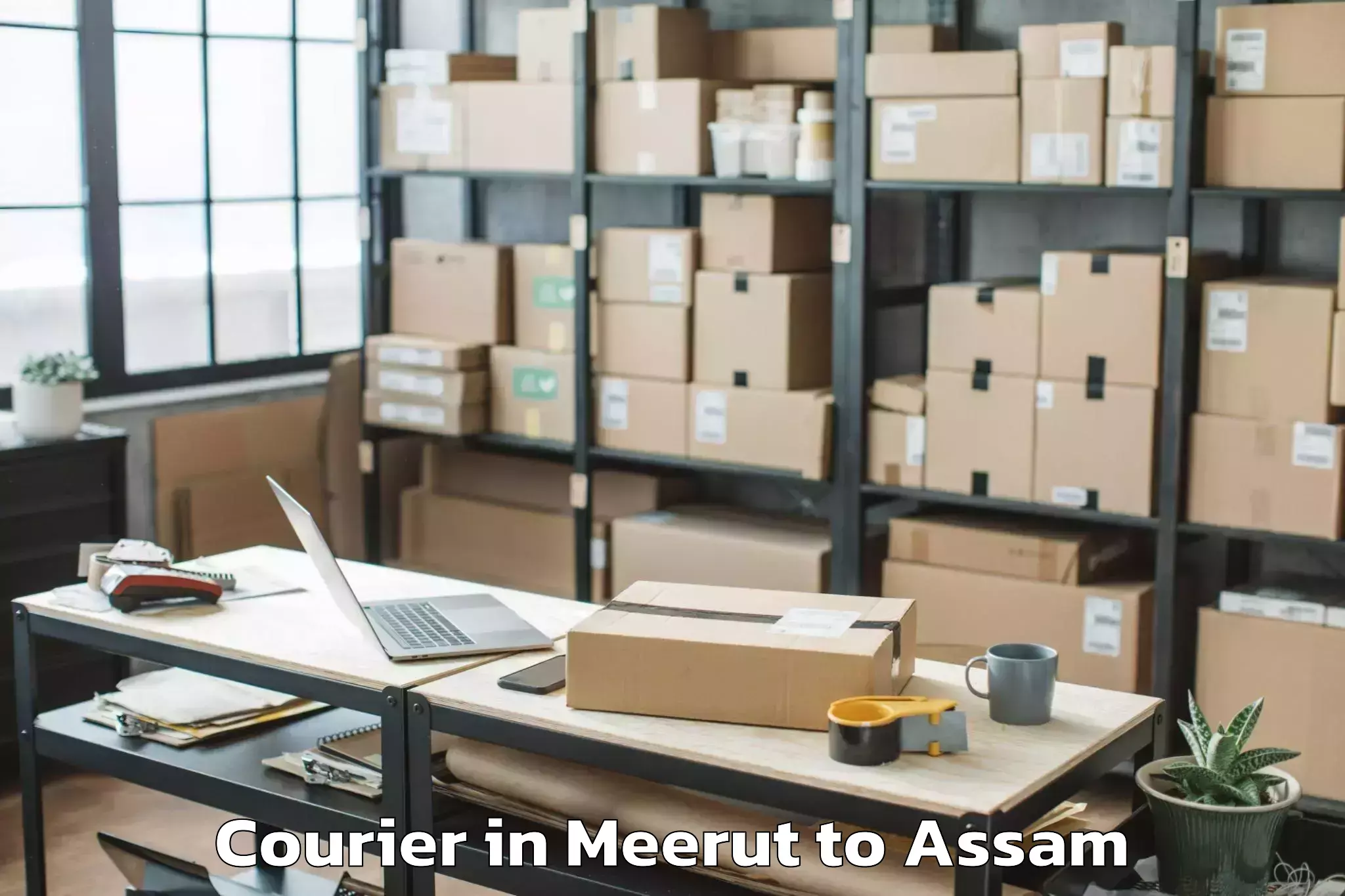 Top Meerut to Haflong Courier Available